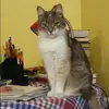 Отзыв от Лилия Сазонова